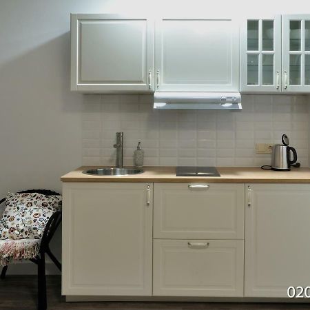 Luxurious Apartment 维尔纽斯 外观 照片