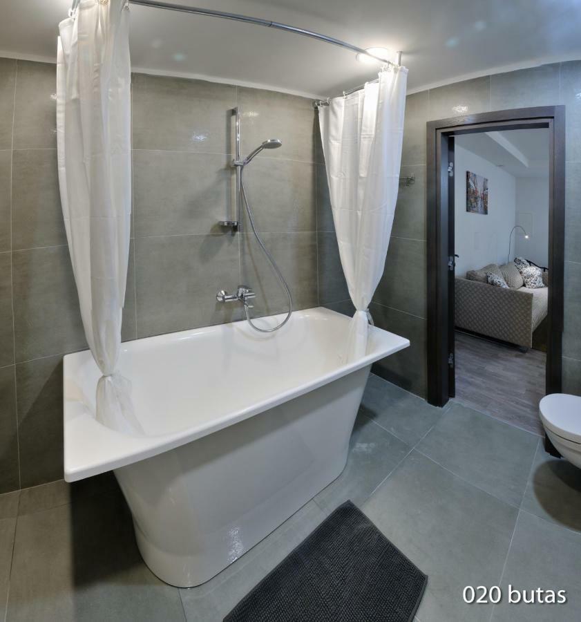 Luxurious Apartment 维尔纽斯 外观 照片