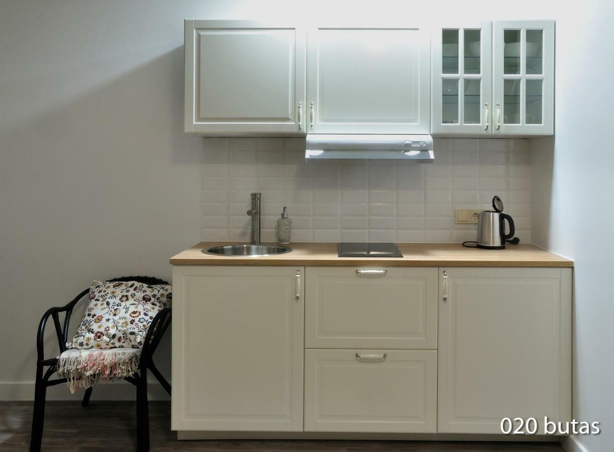 Luxurious Apartment 维尔纽斯 外观 照片